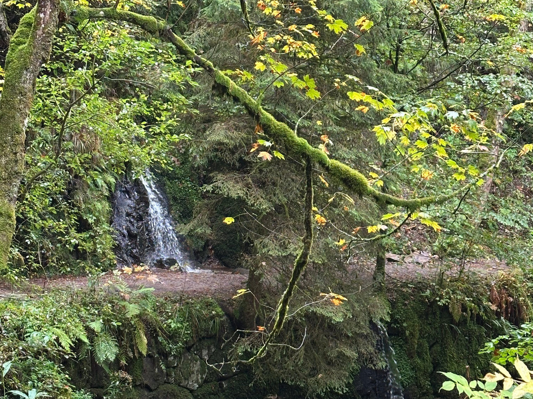 Ravennaschlucht-Breitnau必去景点