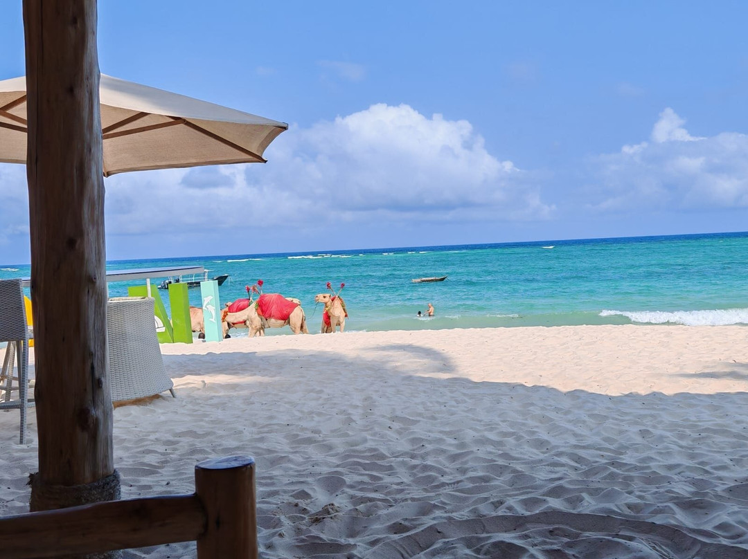 Diamond Beach Resort主图