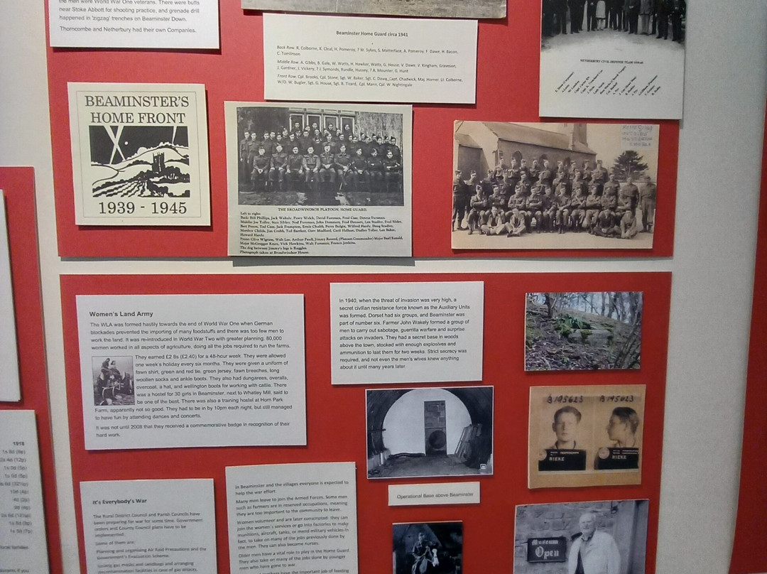 Beaminster Museum-Beaminster必去景点