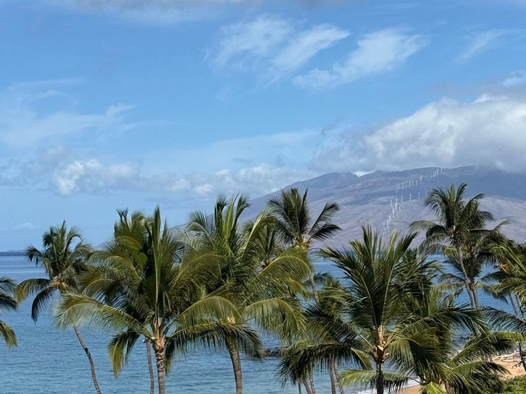 瓦雷阿购物中心-维雷亚必去景点