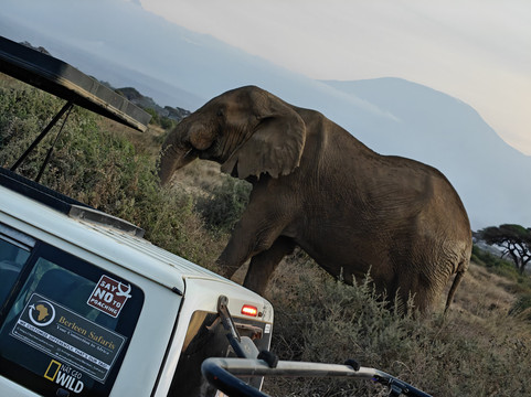 Ways of Africa-内罗毕必去景点