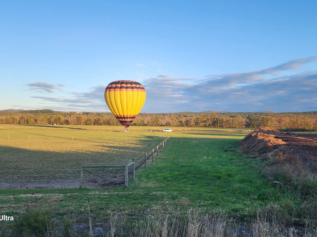 Sunkiss Ballooning-昆斯伯里必去景点