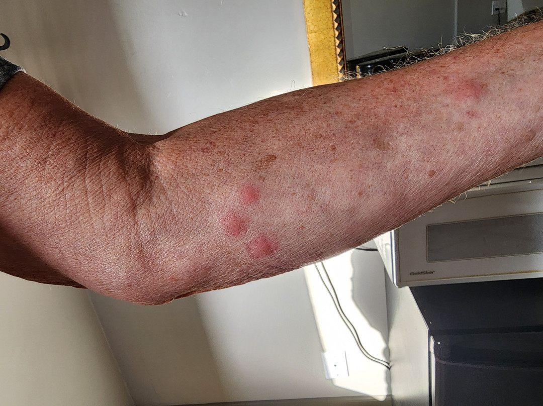 Comfort Inn Camp Verde - I-17 Exit 287 Arizona 260主图