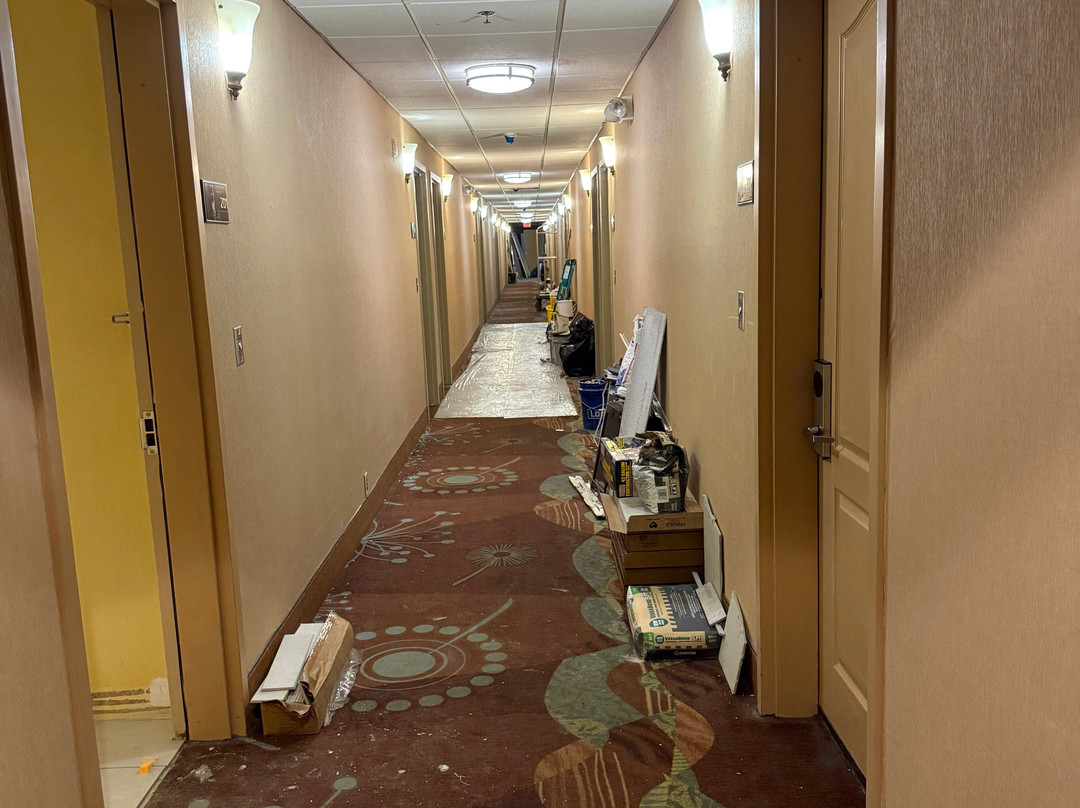 黎巴嫩汉普顿酒店主图