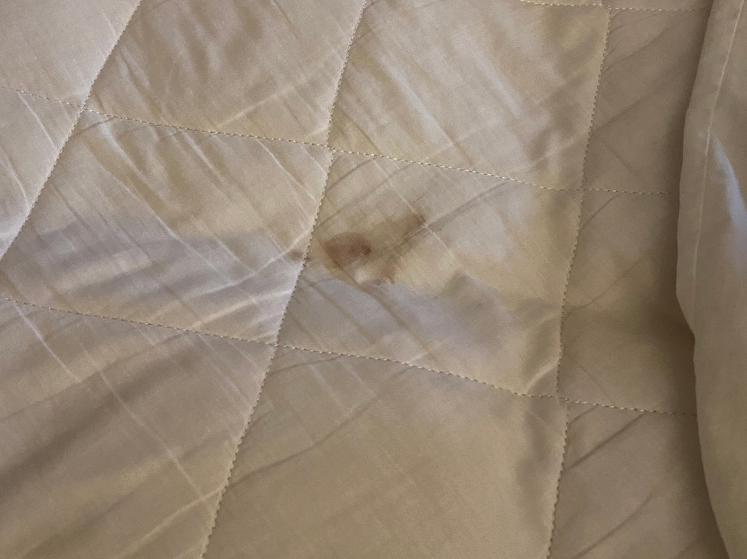 Best Western Plus Harrisburg Mechanicsburg主图