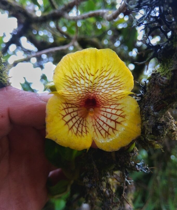 Samacá Turística-Samaca必去景点