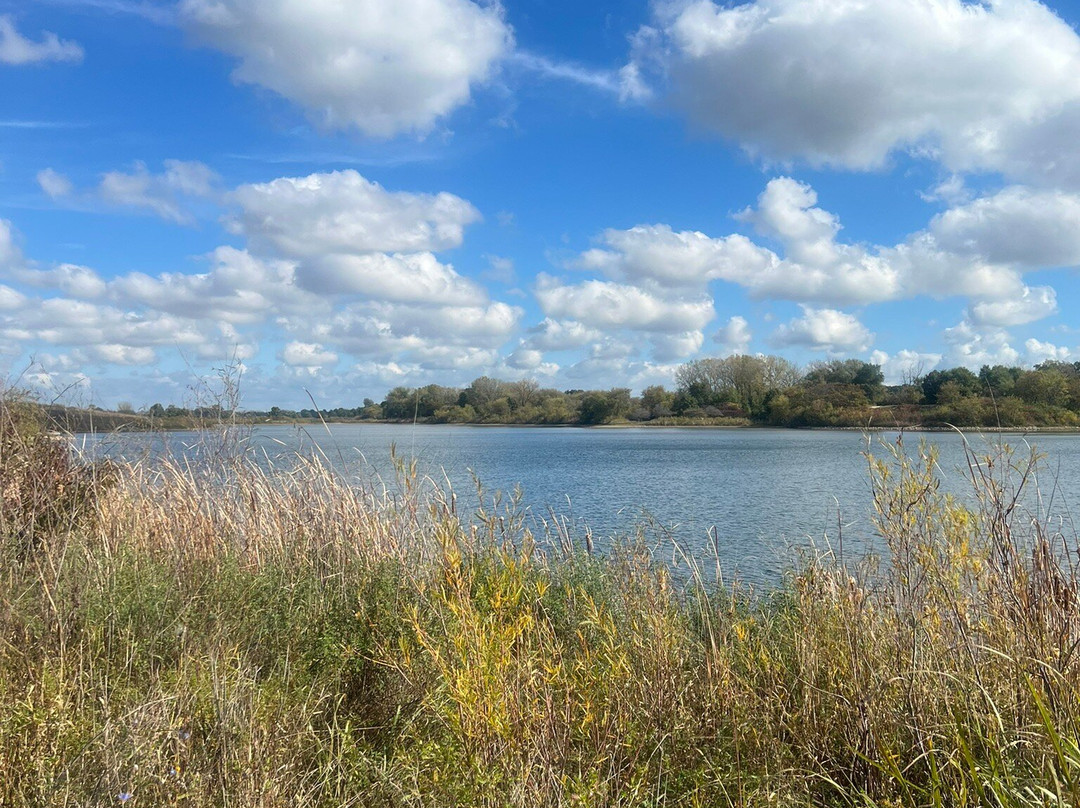 Van Patten Woods Forest Preserve-Wadsworth必去景点
