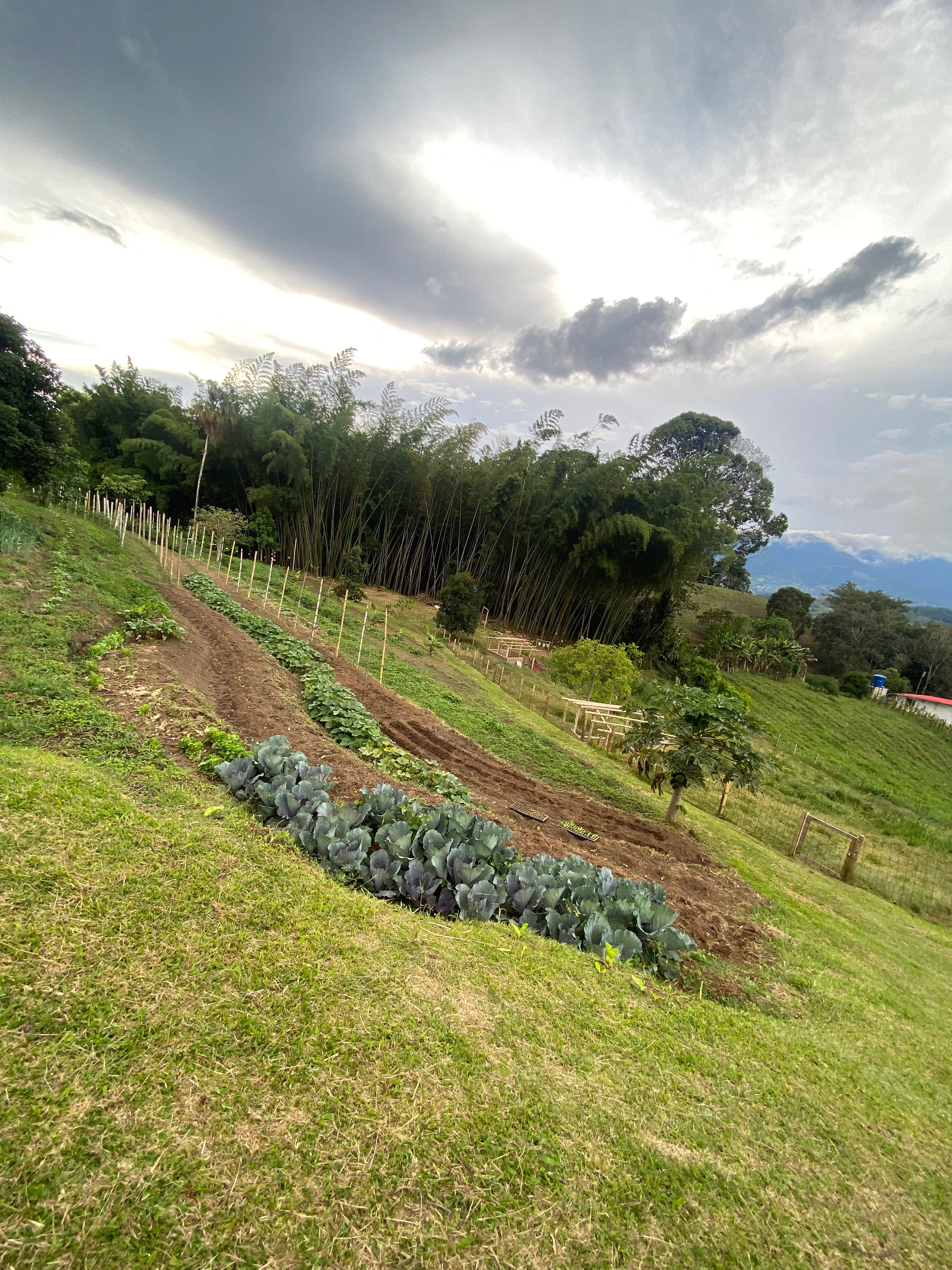 La Huerta Hotel-官方