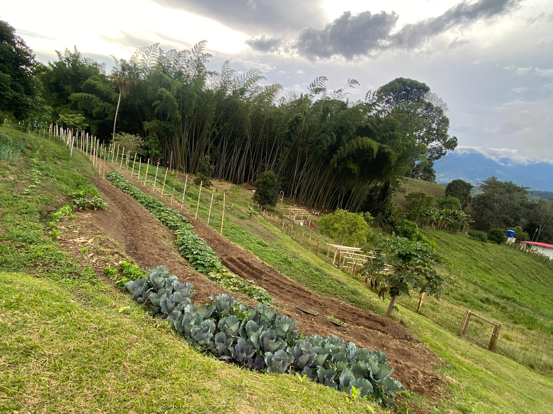 La Huerta Hotel主图