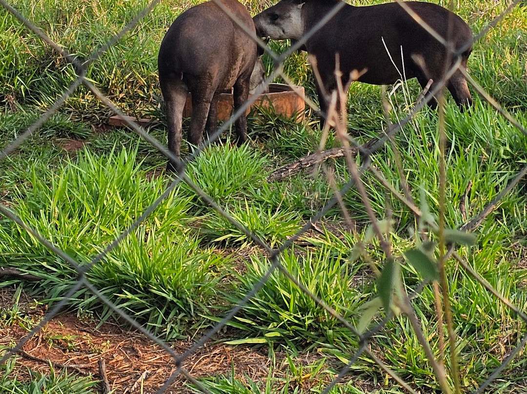 Bio Park-博尼图必去景点
