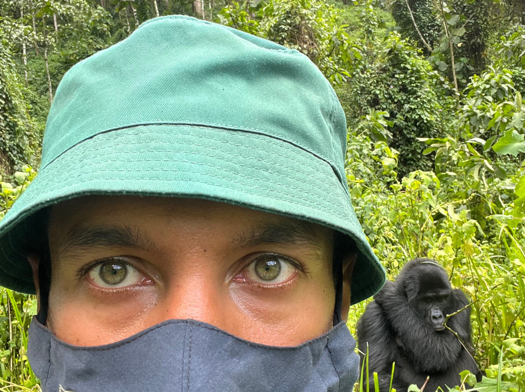 Go Gorilla Trekking-吉佳利必去景点