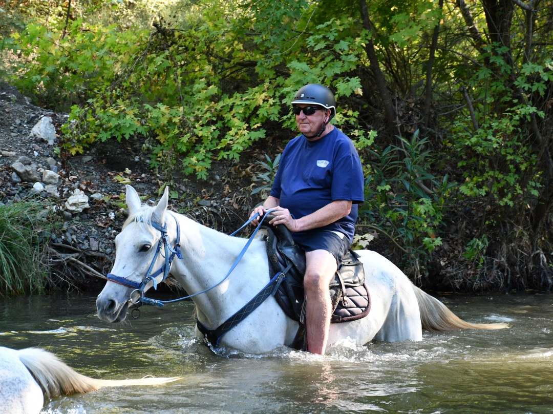 Pinar Horse Safari-马尔马里斯必去景点