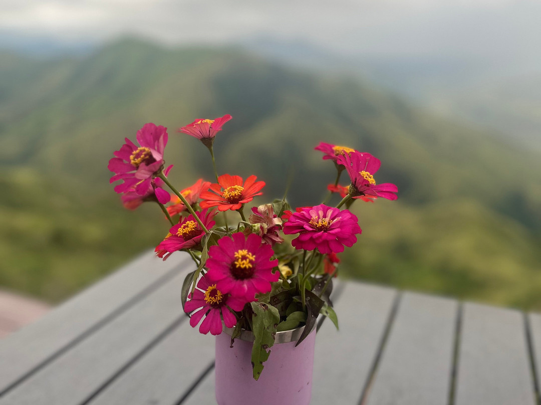 RotyPeaks Ridge Camp-Impasug-ong必去景点