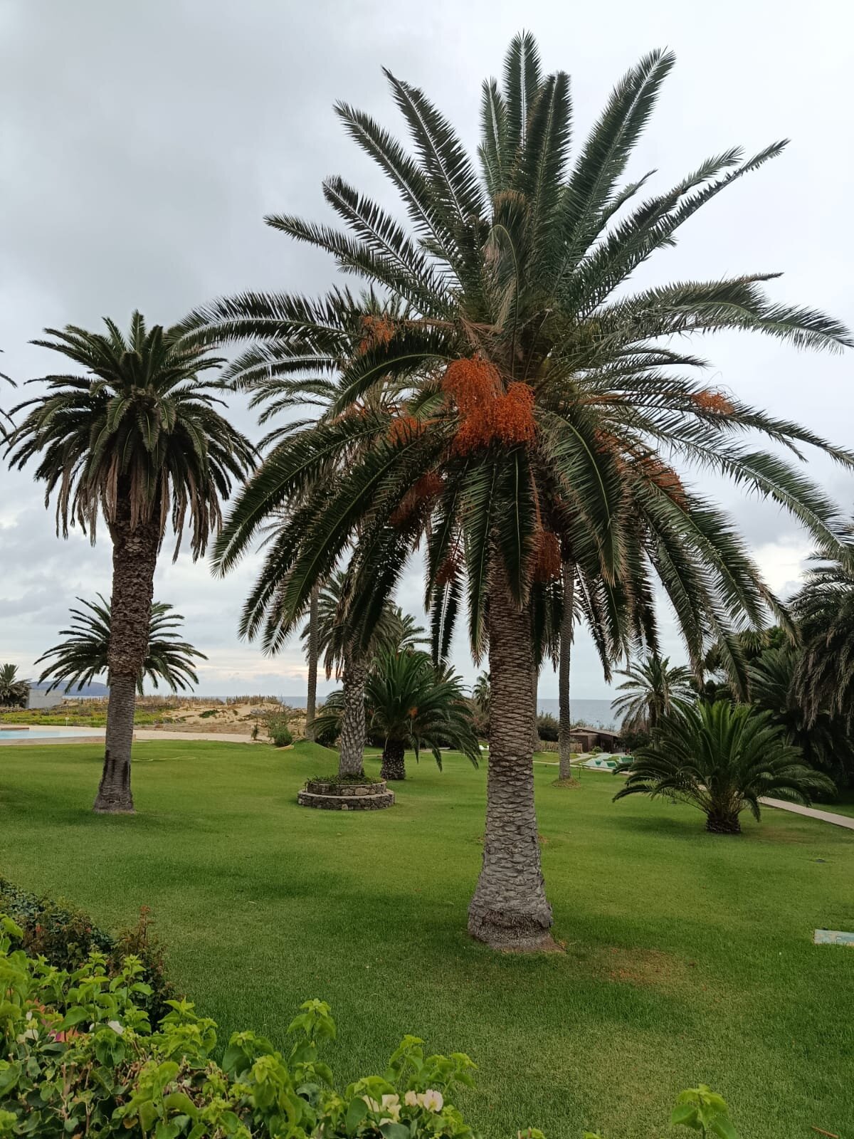 Porto Santo Hotel & Spa-官方