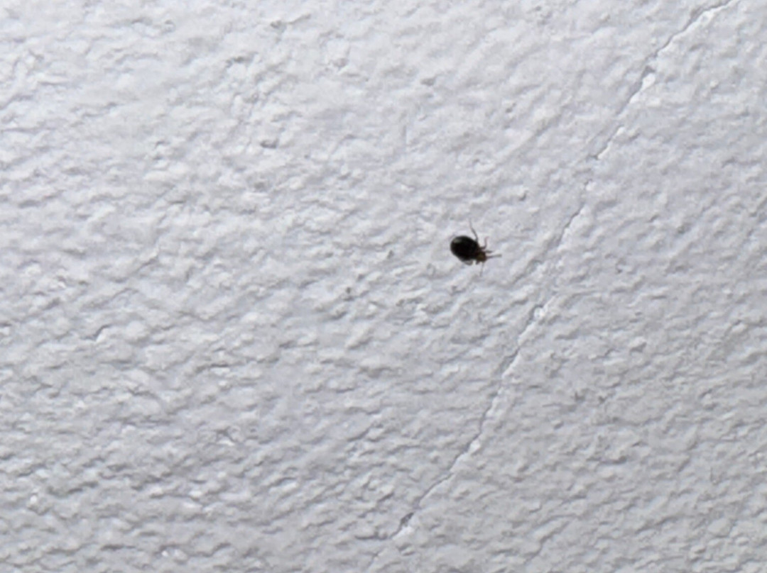 Quinta de Sao Thiago主图