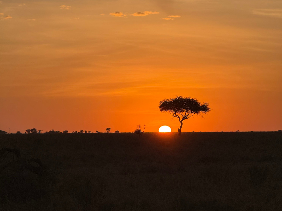 Zara Tanzania Adventures-莫西必去景点