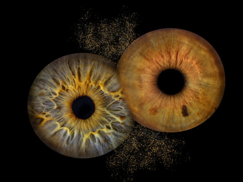 Vizualeyes Leeds-利兹必去景点