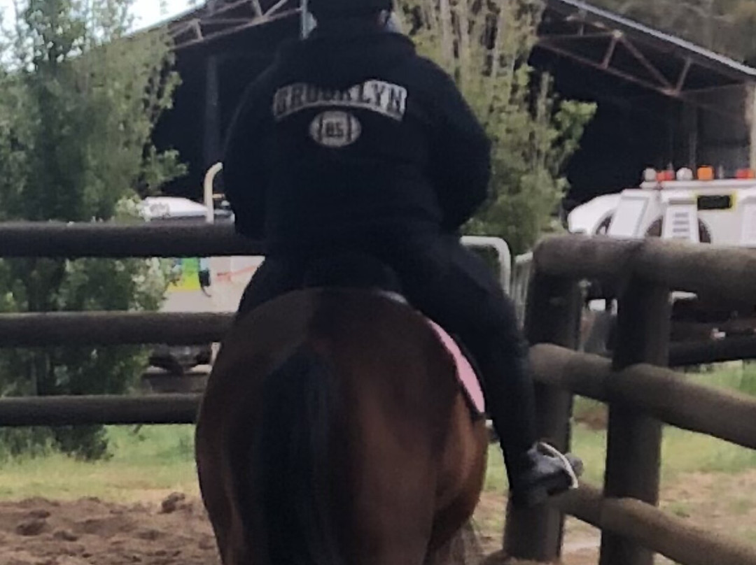 Jarrahdale Equestrian Centre-Jarrahdale必去景点
