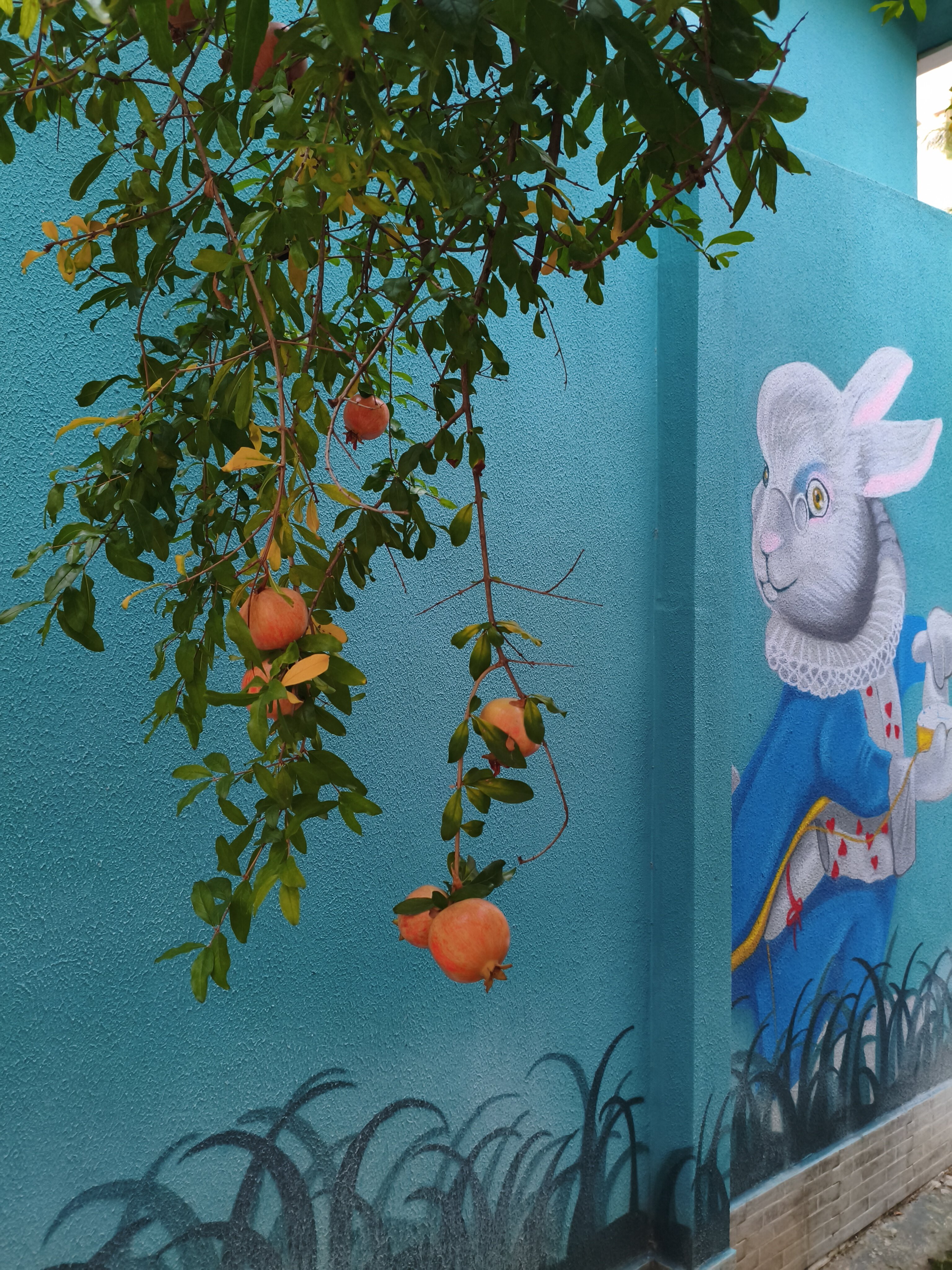 Quattro Family Club Dem Hotel-官方