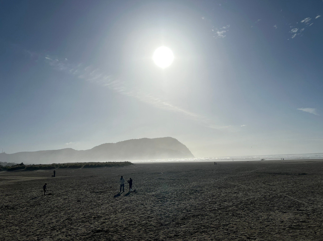 Seashore Inn on the Beach主图