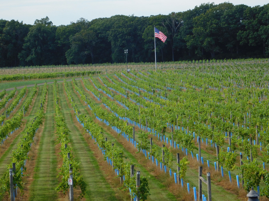 Laurita Winery-New Egypt必去景点