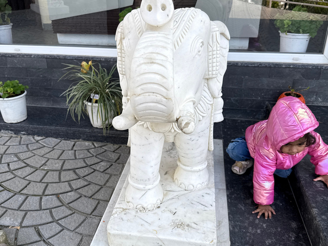 Regenta Hilltop Shimla主图