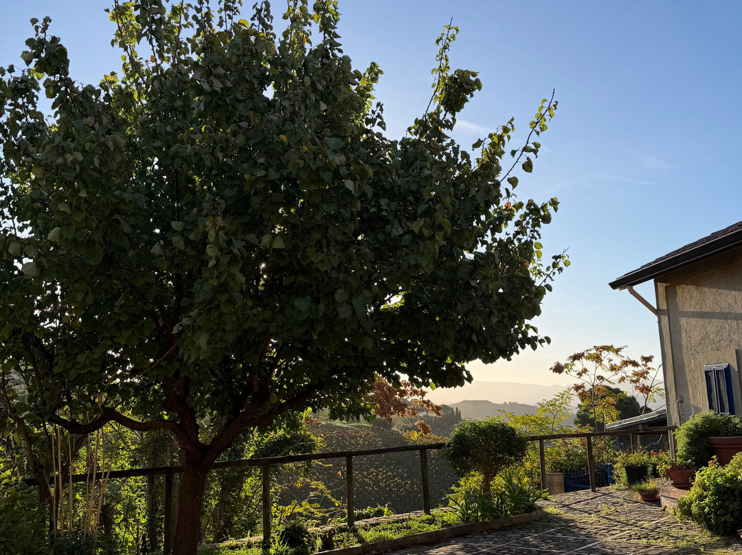 Anna Tasca Lanza Sicilian Cooking School-巴勒莫必去景点