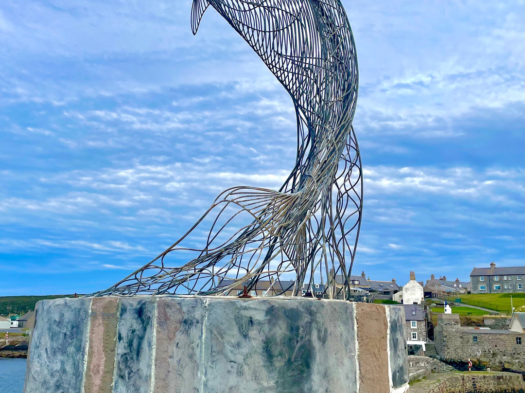 Portsoy Harbour-Portsoy必去景点