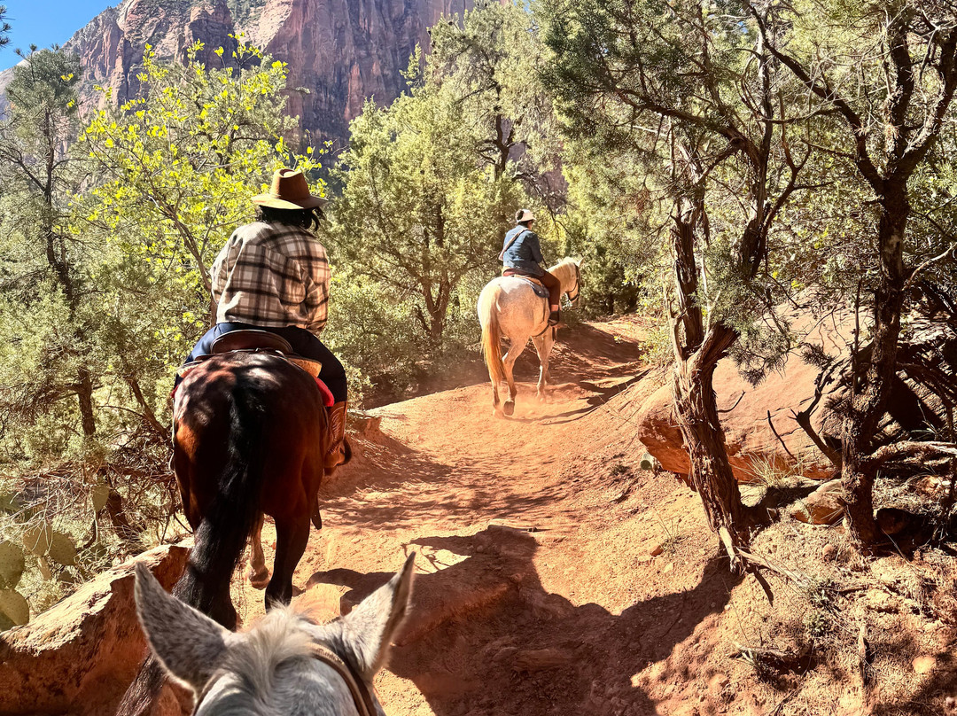 Canyon Trail Rides-锡安国家公园必去景点