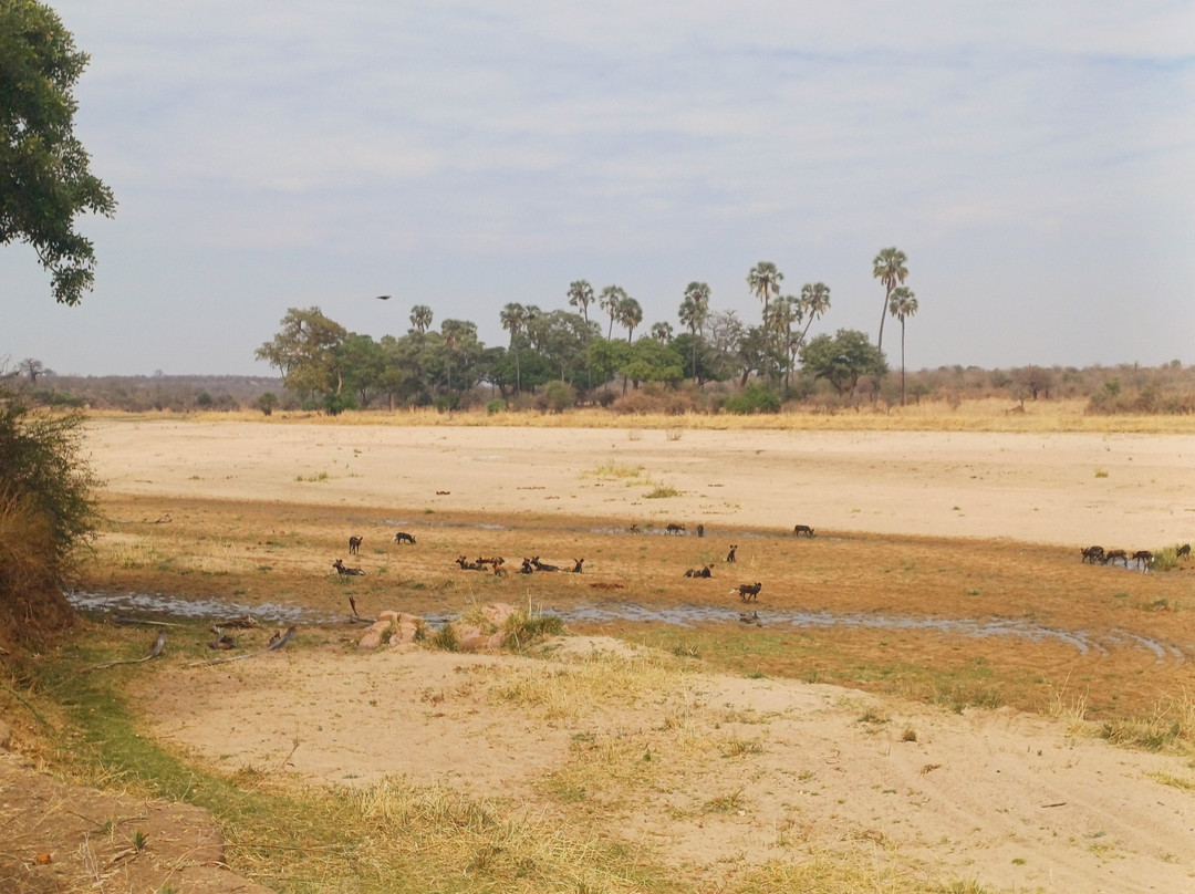 Sam safari & tours-Iringa必去景点