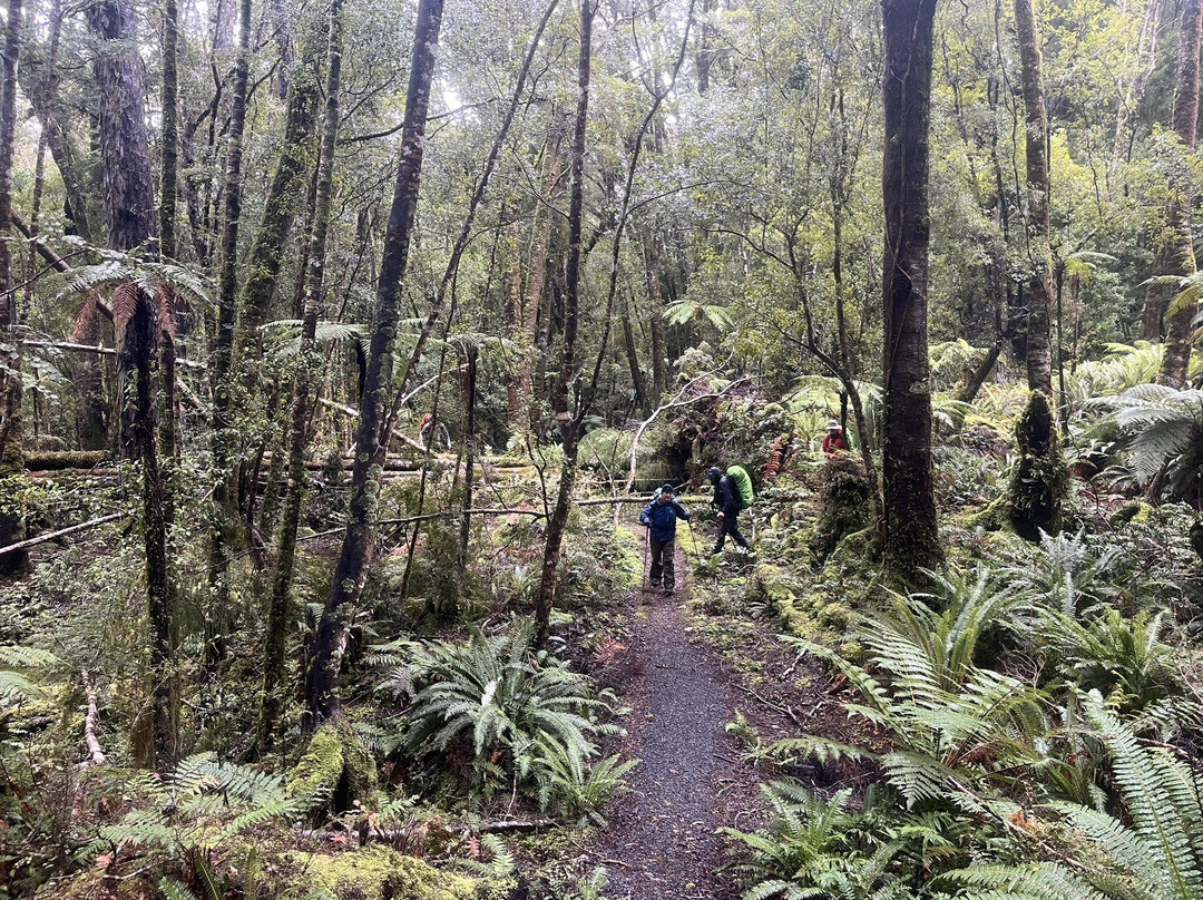 Hump Ridge Track-Tuatapere必去景点