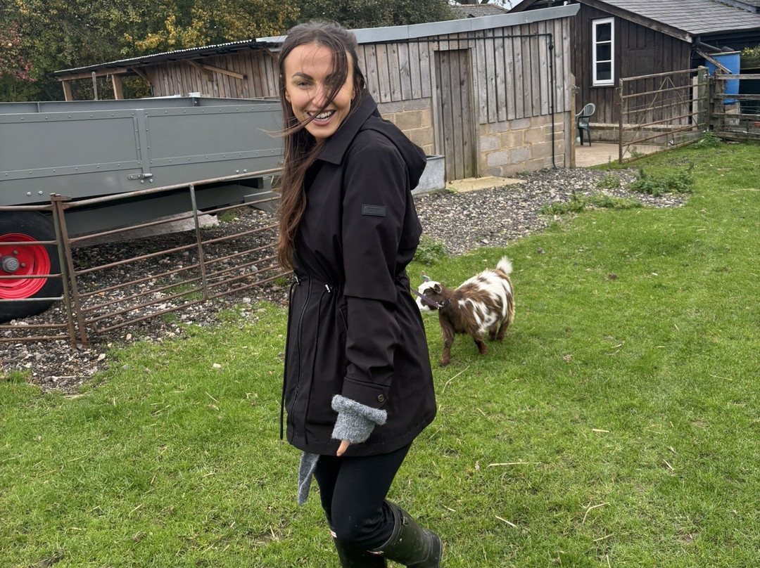 Little Goats At Brockenhurst-Brockenhurst必去景点