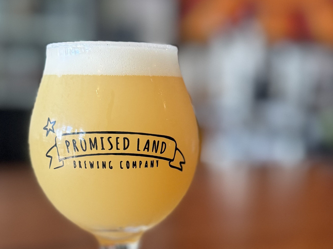 Promised Land Brewing Company