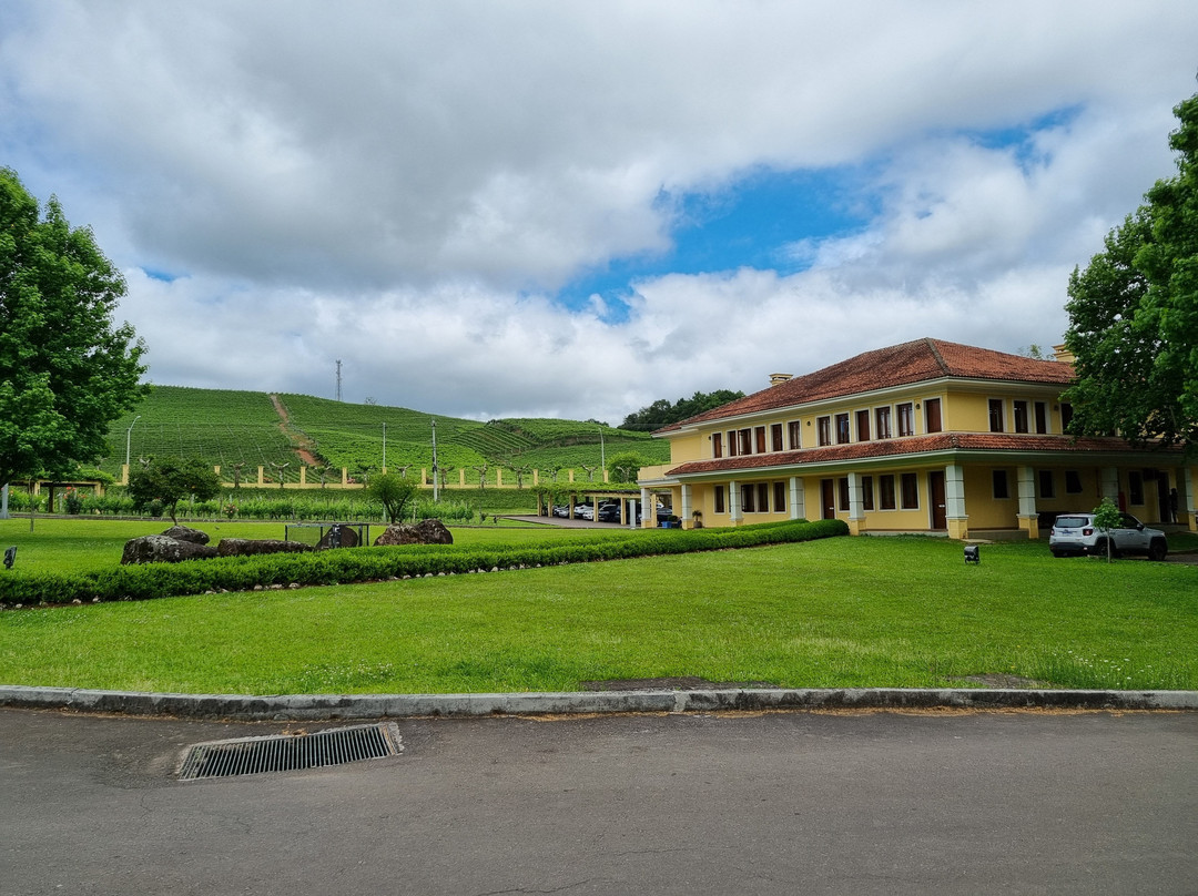 Miolo Wine Group-本图贡萨尔维斯必去景点