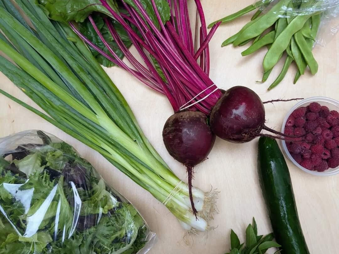 Clutch Farm - seasonal farm stand-Salmo必去景点