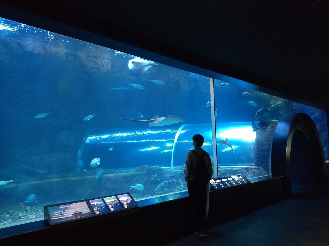 Marinepia Nihonkai-新泻市必去景点