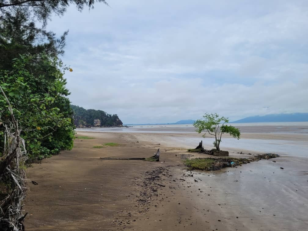 Bako National Park-古晋必去景点