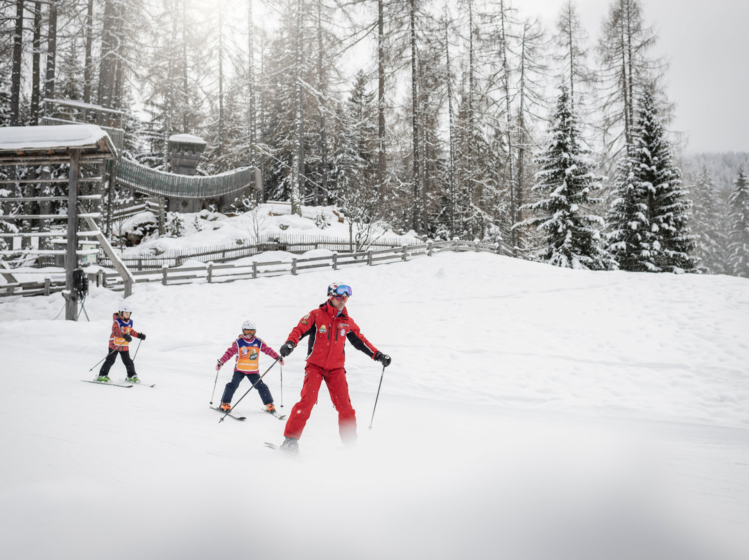 Family Resort Rainer主图