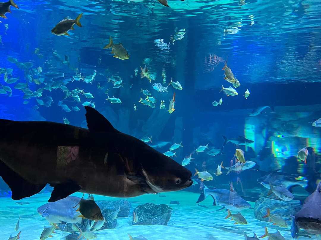 Angkor Wildlife & Aquarium-暹粒必去景点