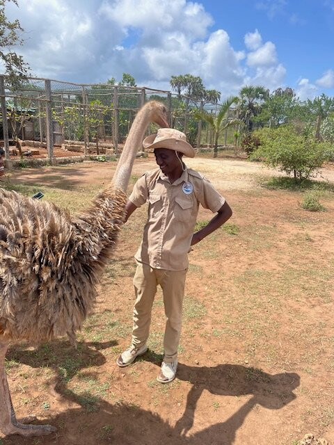 Bora Bora Wildlife Park-迪亚尼必去景点