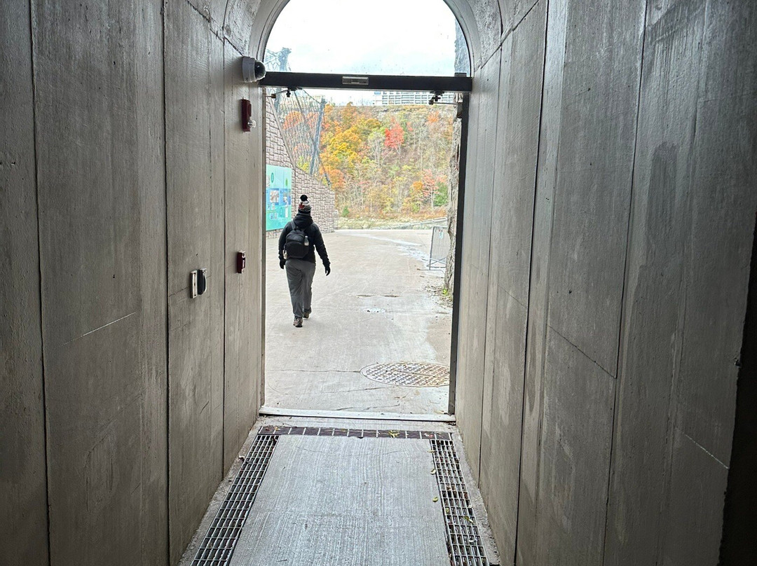 Schoellkopf Power Station-尼亚加拉大瀑布必去景点