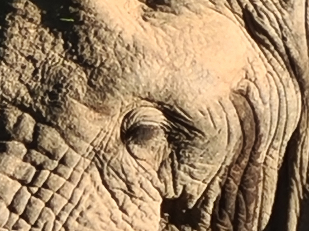 Mount Camdeboo Private Game Reserve主图