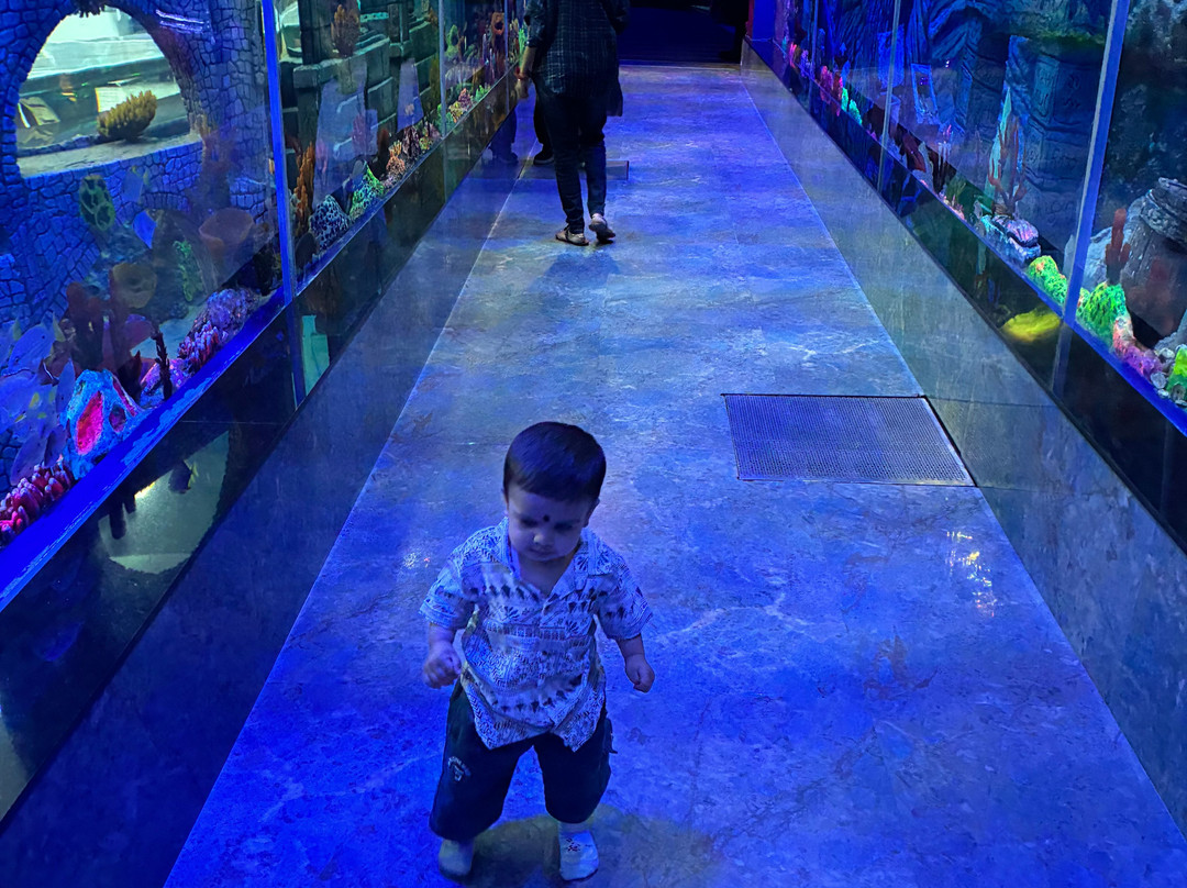 Aquarium Paradise-班加罗尔必去景点