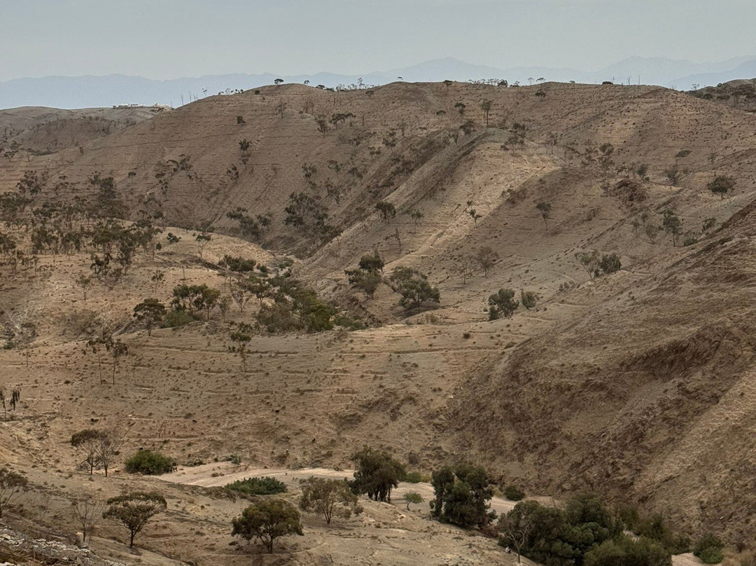 Dunes & Desert-马拉喀什必去景点
