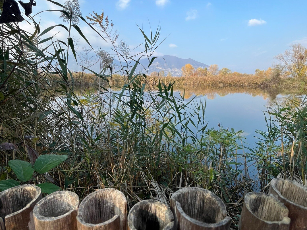Torbiere del Sebino-Provaglio d'Iseo必去景点