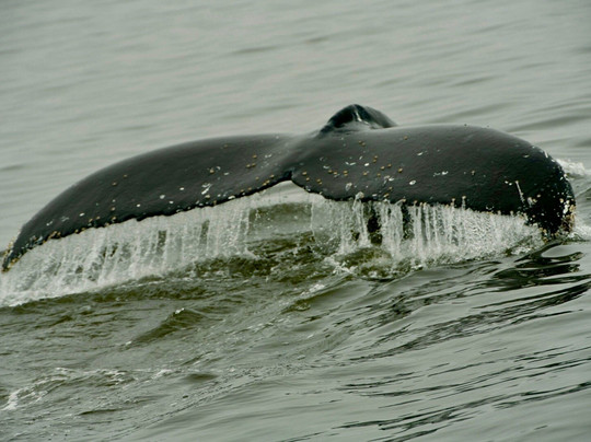 Africa Edge Safaris-华维斯湾必去景点