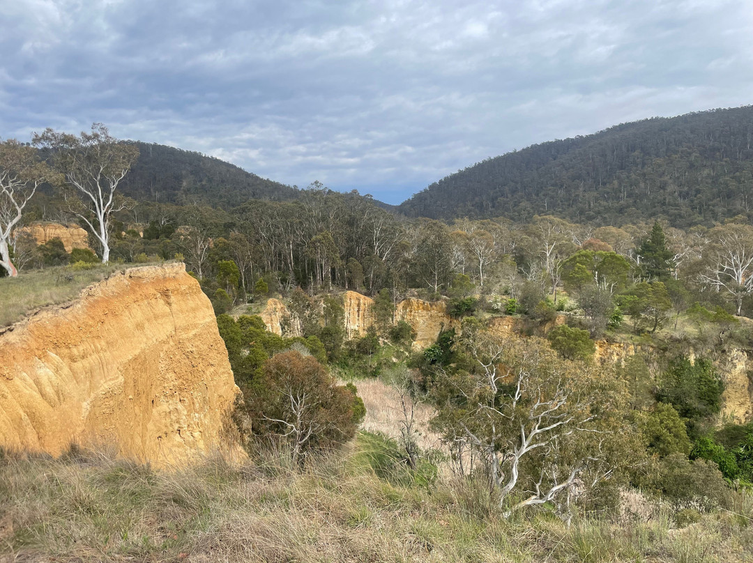 Pioneer Lookout-Omeo必去景点