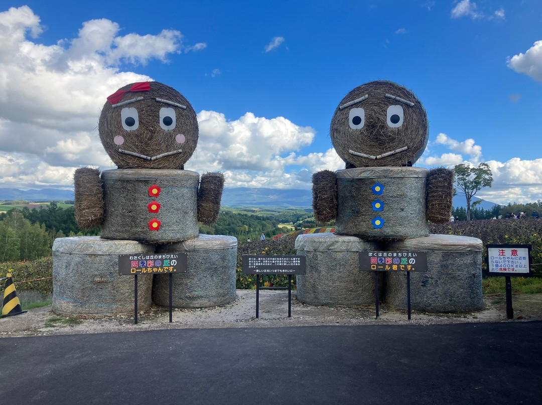 四季彩之丘-美瑛町必去景点