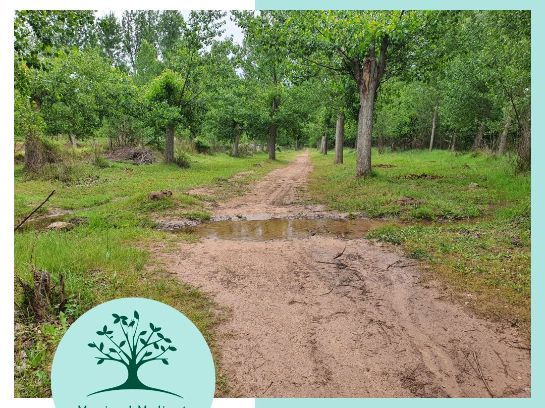La Virgen de la Vega酒店住宿-Masia El Molinete