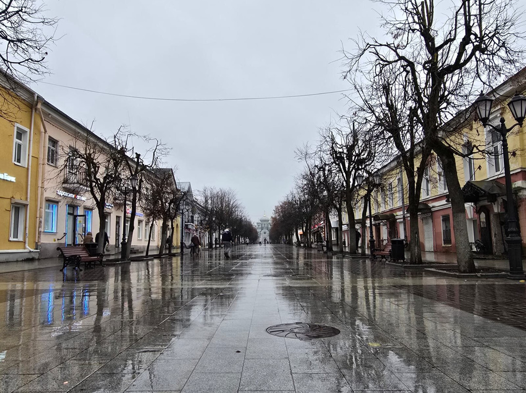 Gatchina Pavlovsky Cathedral-Gatchina必去景点